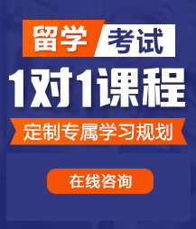 黑丝美女被帅哥操的网站留学考试一对一精品课